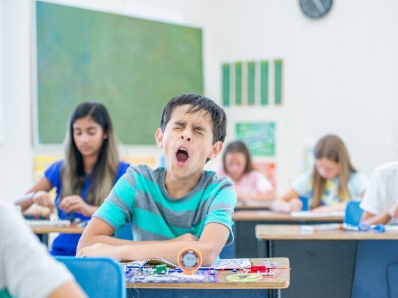 【子育て】あくびは怠けじゃない？栄養のプロが教える「授業中の集中力を上げる」ために朝ごはんで気を付けたいこと