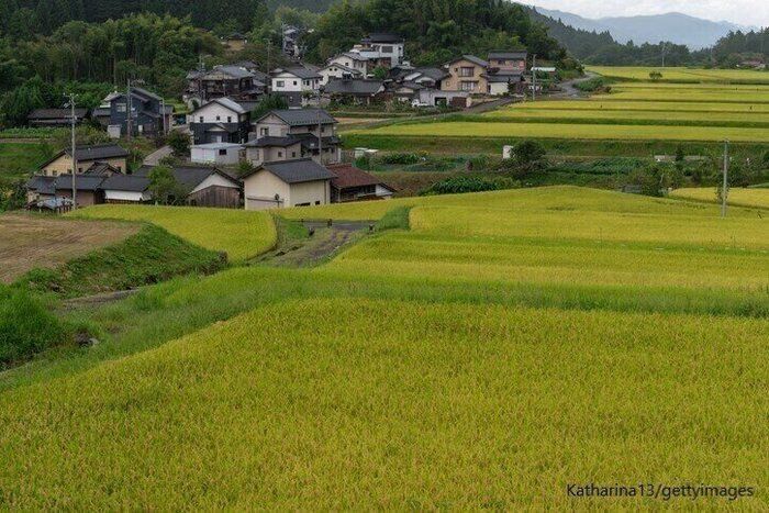 【田舎移住】子どもの頃と大人になってからの田舎暮らしの感じ方の違い