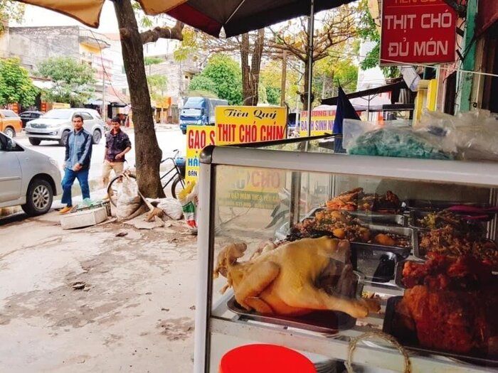 【憧れの海外移住】帰国後、めちゃくちゃ苦労したこと3つ