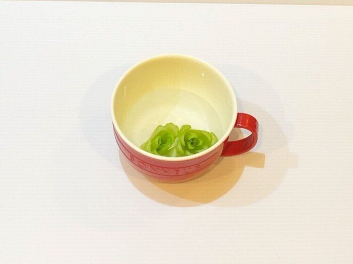 野菜は1度買って2度食べる!お財布にも地球にも優しい再生野菜とは?