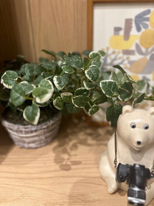 【断捨離】流行りの断捨離方法！そのメリットとは！？