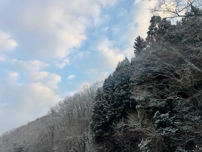 目標もシンプルに！暮らしマニアのシンプリストが2025年にやりたいこと3つ