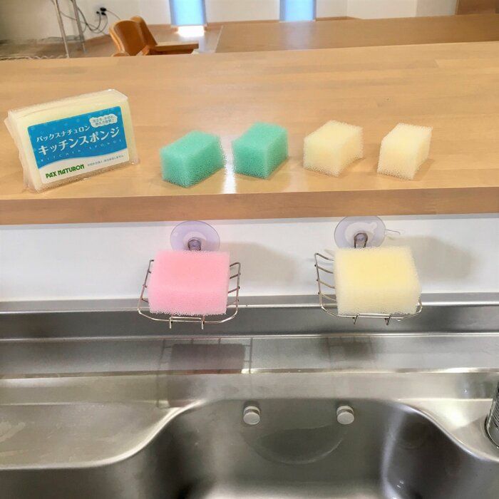 【台所スポンジは2週間で捨て】バイ菌だらけのスポンジ使ってませんか？