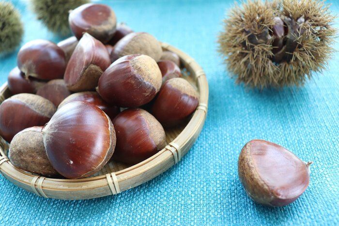 【季節の行事を楽しむ】今日はマム（菊）を飾って栗ごはん