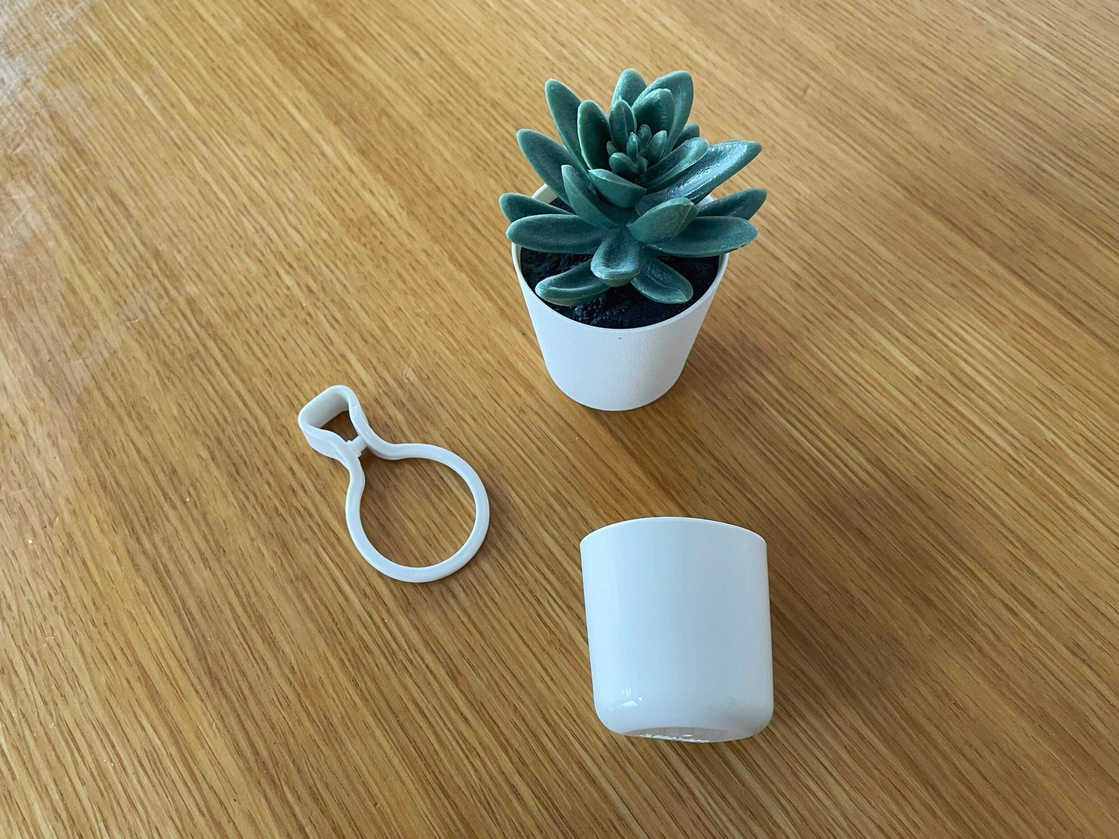 【液体歯磨き派の救世主】思わず即買い！水切れ抜群のダイソー「マウスウォッシュ用コップ」