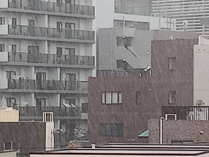 夏の台風はなぜ迷走するの？気象予報士が備えるポイントとともに解説！