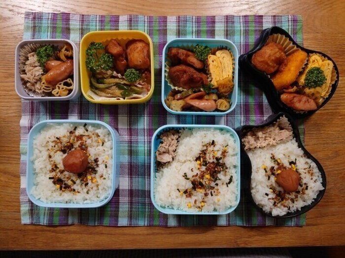 【お弁当】本日も手抜き弁当なり