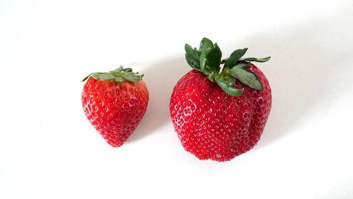 イチゴの失敗しない選び方のポイントは3つ！料理家の解説「早く知りたかった」の声