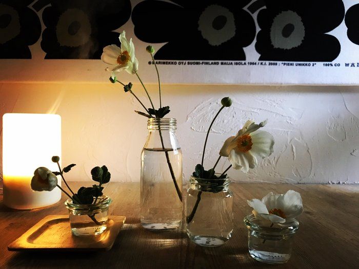 2人に1人はガンの時代・読んだら人生変わるカモ！「世界一ラクなガン治療」