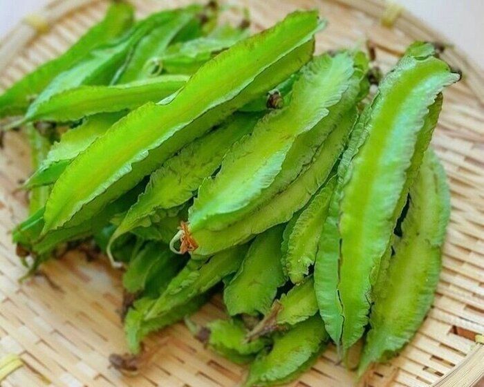 野菜のプロがドハマり中！不思議な見た目の「四角豆」その食べかたは？