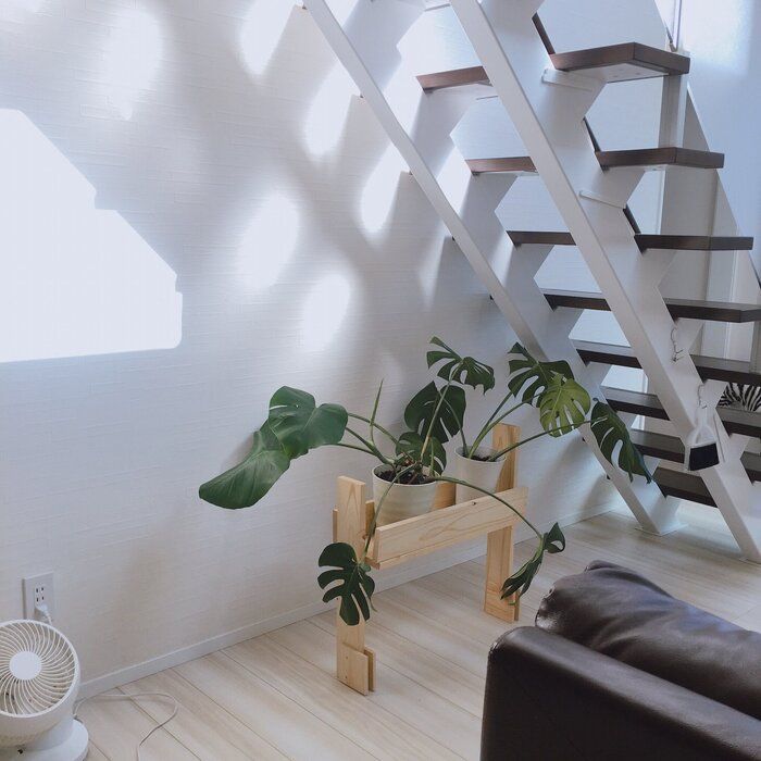 憧れのグリーンインテリア！ズボラ主婦が失敗から学んだコトとは