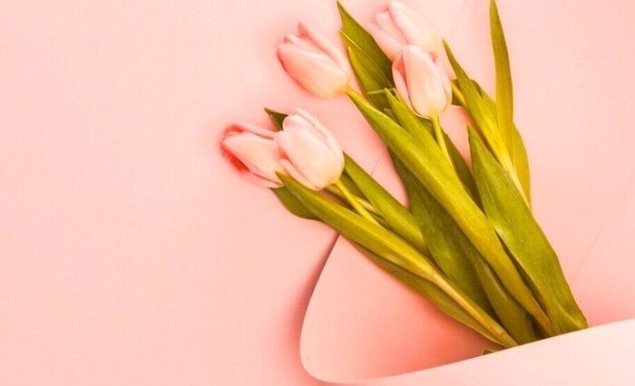 【2021をふりかえる】出版・オフィシャルブロガー・サンキュ！STYLEライター！「書きたい」が叶った年