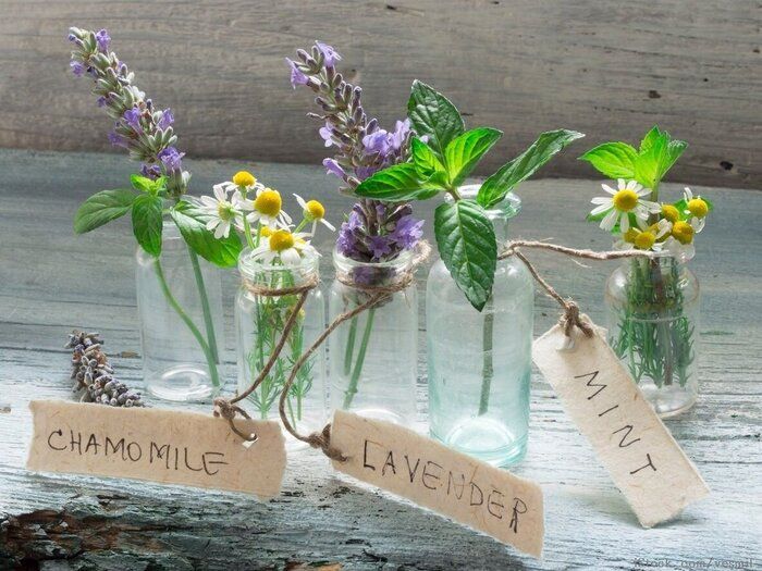 【マインド】心を整える、とっておきの方法　心を整えることで、暮らしがより豊かに