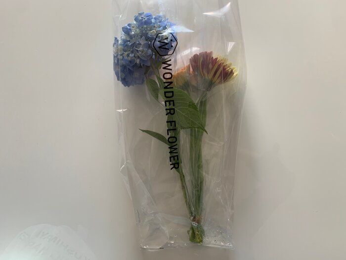 25日まで！　日比谷花壇のサブスク