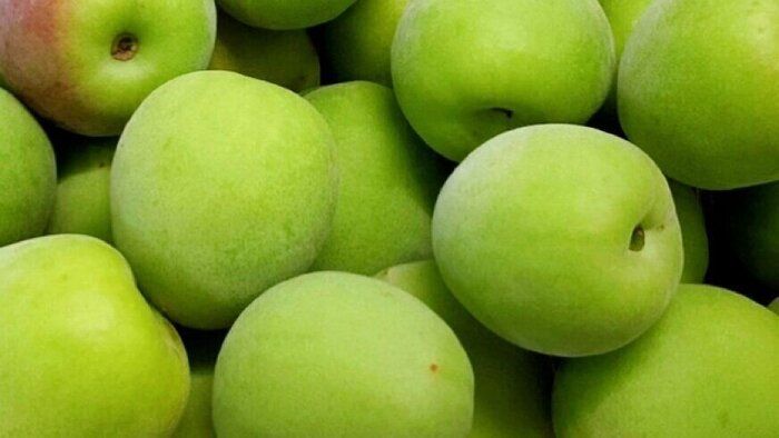 【保存食】今年も大好きな梅の季節到来！何を作ろう？！