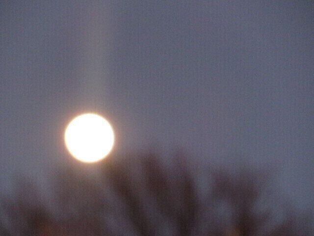 2024年は何をしたい？思いつくまま書いてみた振り返りと展望