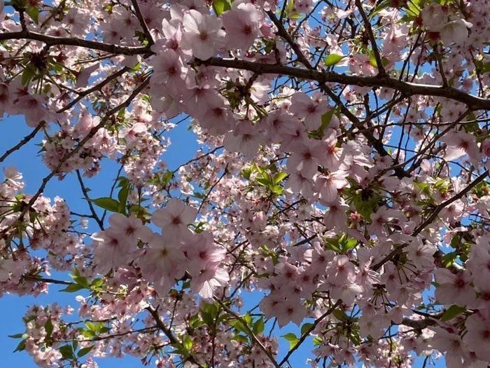 こんな時の癒し！！！