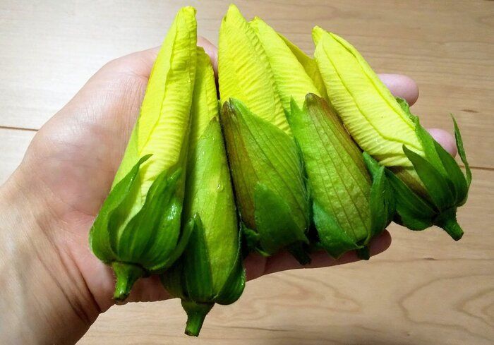 食べられる野菜の花があるって知ってる？偶然採れた、巨大エディブルフラワーを食べてみた！