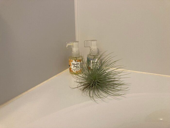 【バスタイム】お風呂がありがたい季節到来！お風呂を楽しむ３つのポイント