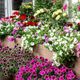 【目標】花を飾ろう