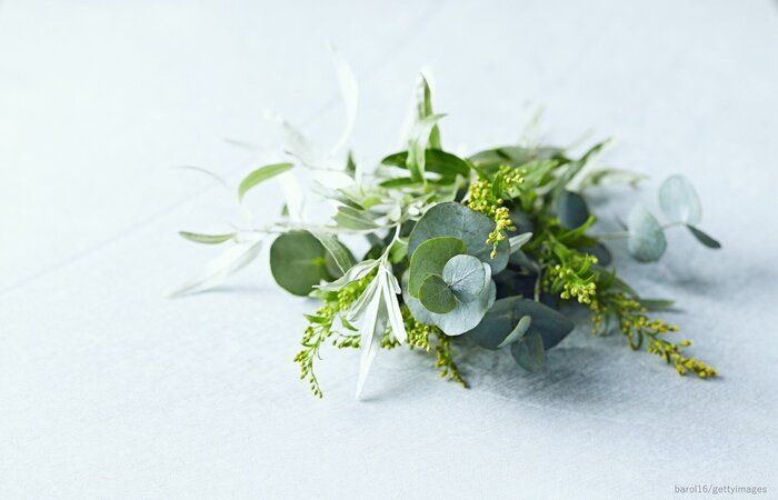 もうすぐ、一年経ちます