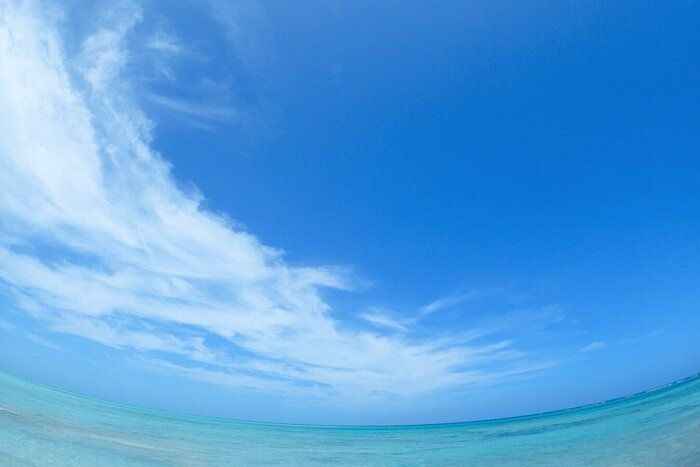 「これからも生きていくために…。」シングルマザーになりました。