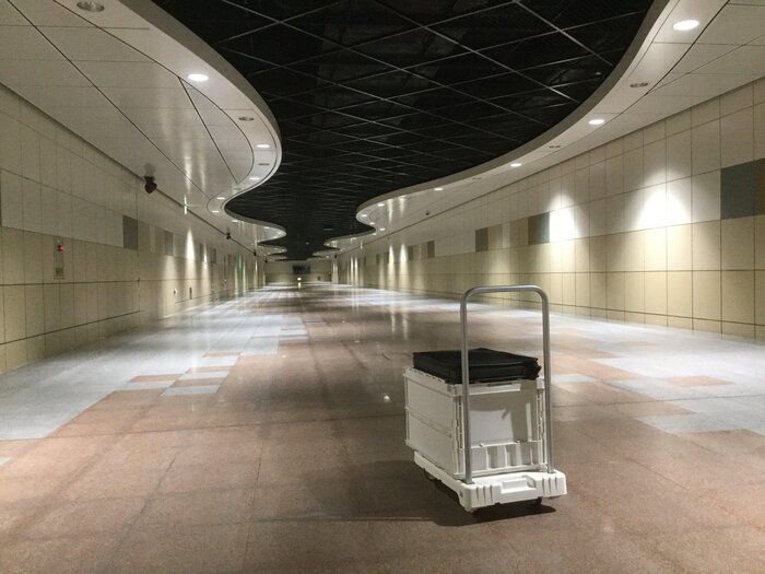 モノを整理する時に意識すると良いたった1つのこと