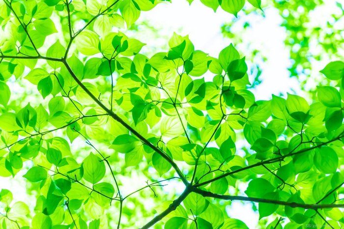 【人生が変わる】朝活で得た４つの変化