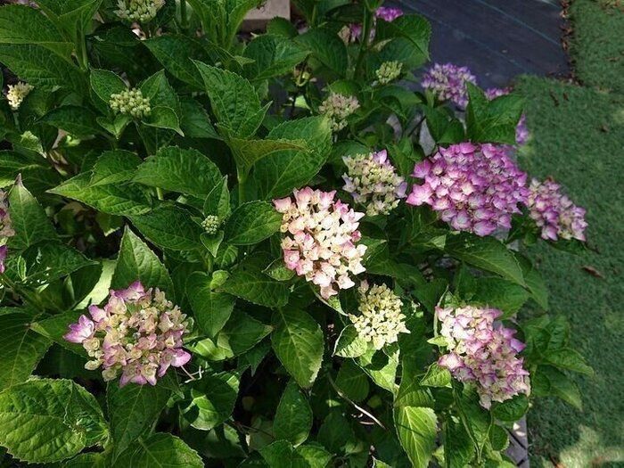 【家事休み】もしも一日家事を休めたら