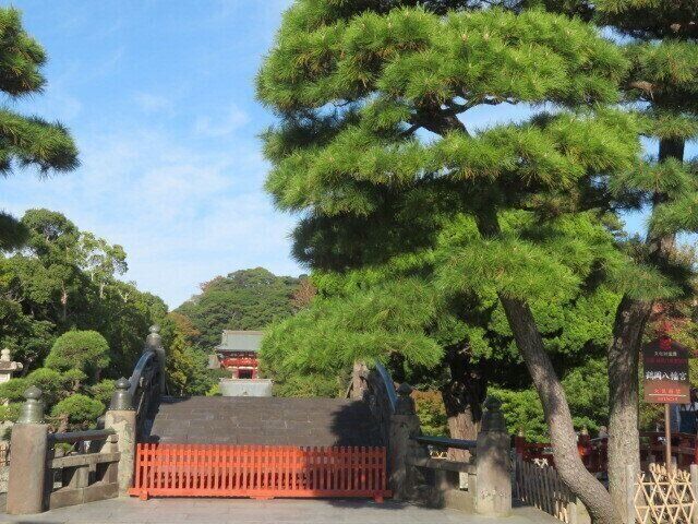 子連れでも楽しめた！神奈川県民が愛する鎌倉観光スポット3