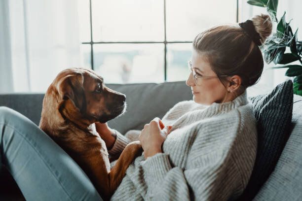 女性は抱き合い、自宅で彼女の犬と遊ぶ