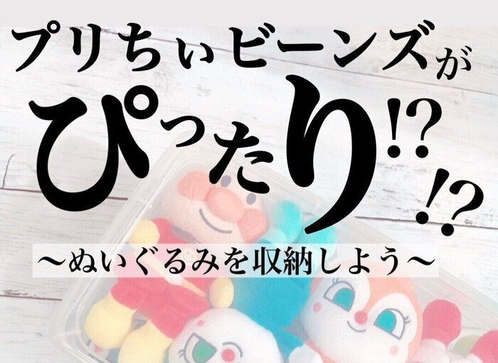 ダイソー フタ付き110円 あのぬいぐるみがシンデレラフィット なマルチケース サンキュ Style