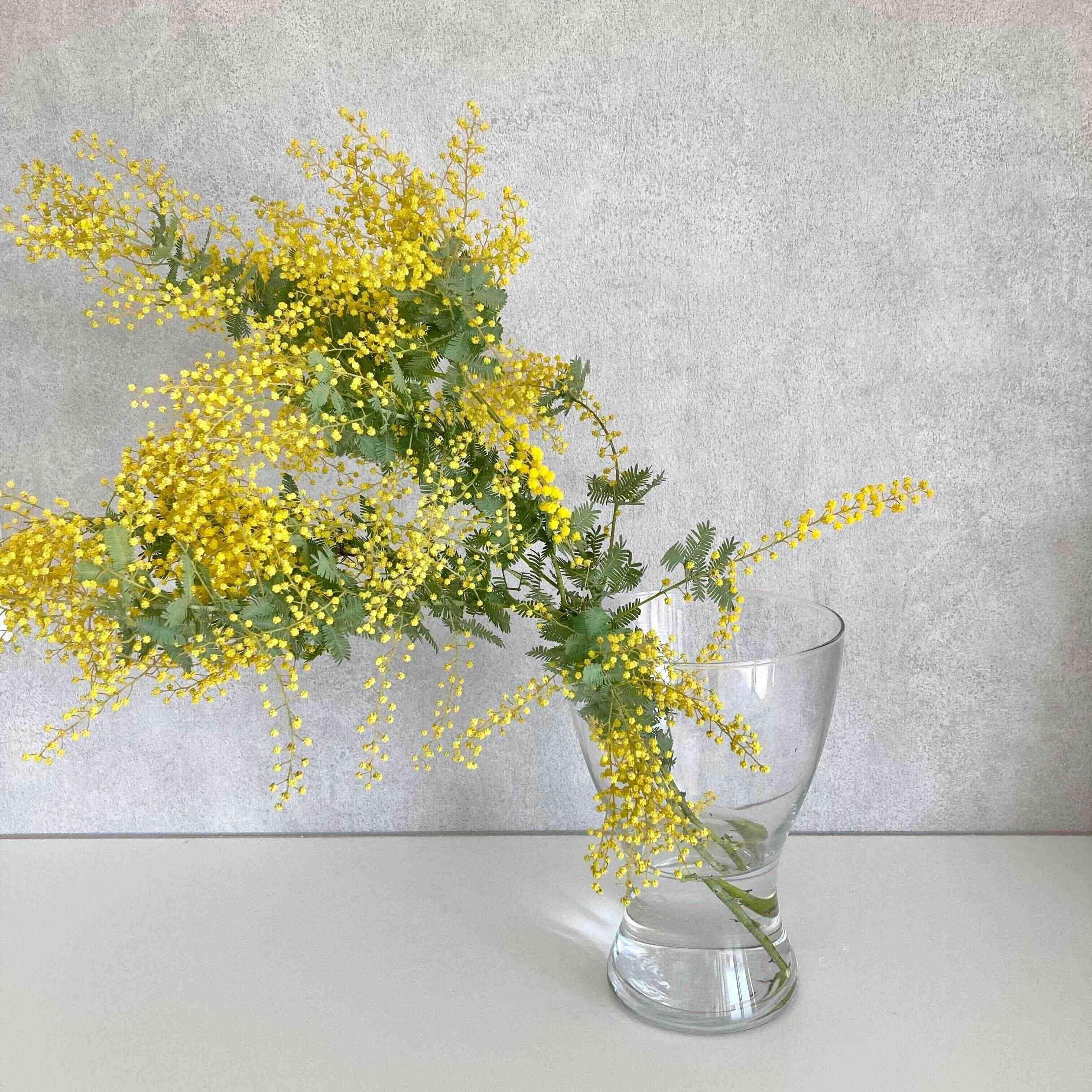 【もうダランってならない】5秒あればできる！家にあるもので枝物をまっすぐ立てる方法