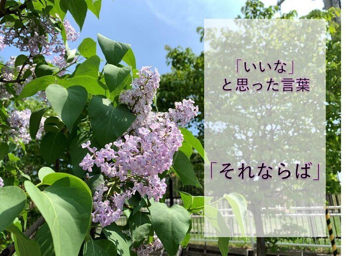 「それならば思考」片付ける人とそうでない人の決定的な違いはここにある