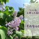 「それならば思考」片付ける人とそうでない人の決定的な違いはここにある