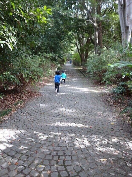 きょうだい育児で大切にしていること