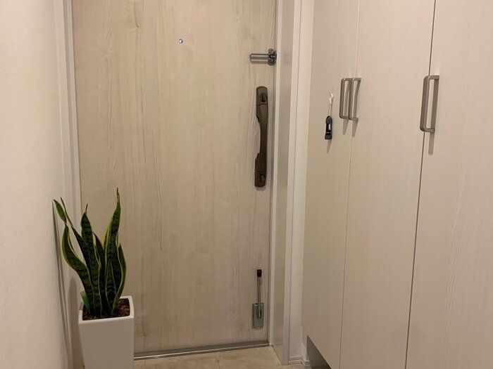 【ダイソー】諦めていた〇〇の玄関収納。220円で解決！