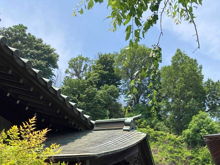 寺を見上げると思い出す……図工の先生の一言による気づきとは