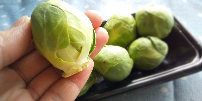 今が旬！アンチエイジング効果もある？芽キャベツの魅力＆美味しい食べ方をご紹介