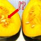 かぼちゃを切ったら「もやし」が出てきた⁉そのもやしは食べられる?原因と対処法についてご紹介