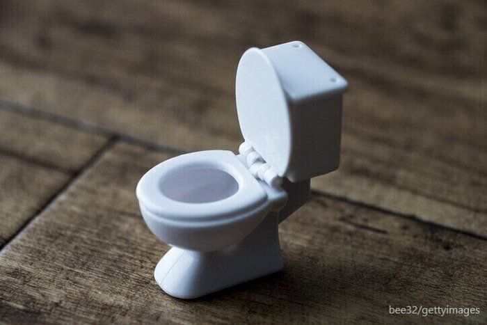 【トイレの神様は本当にいる？！】トイレ掃除は毎週〇〇曜日の〇〇時にする！