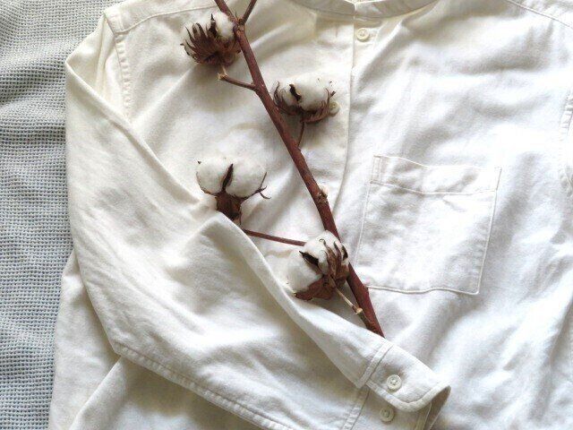 オーガニックコットンだから肌に優しいというのは勘違い！だけど選ぶのはなぜ？