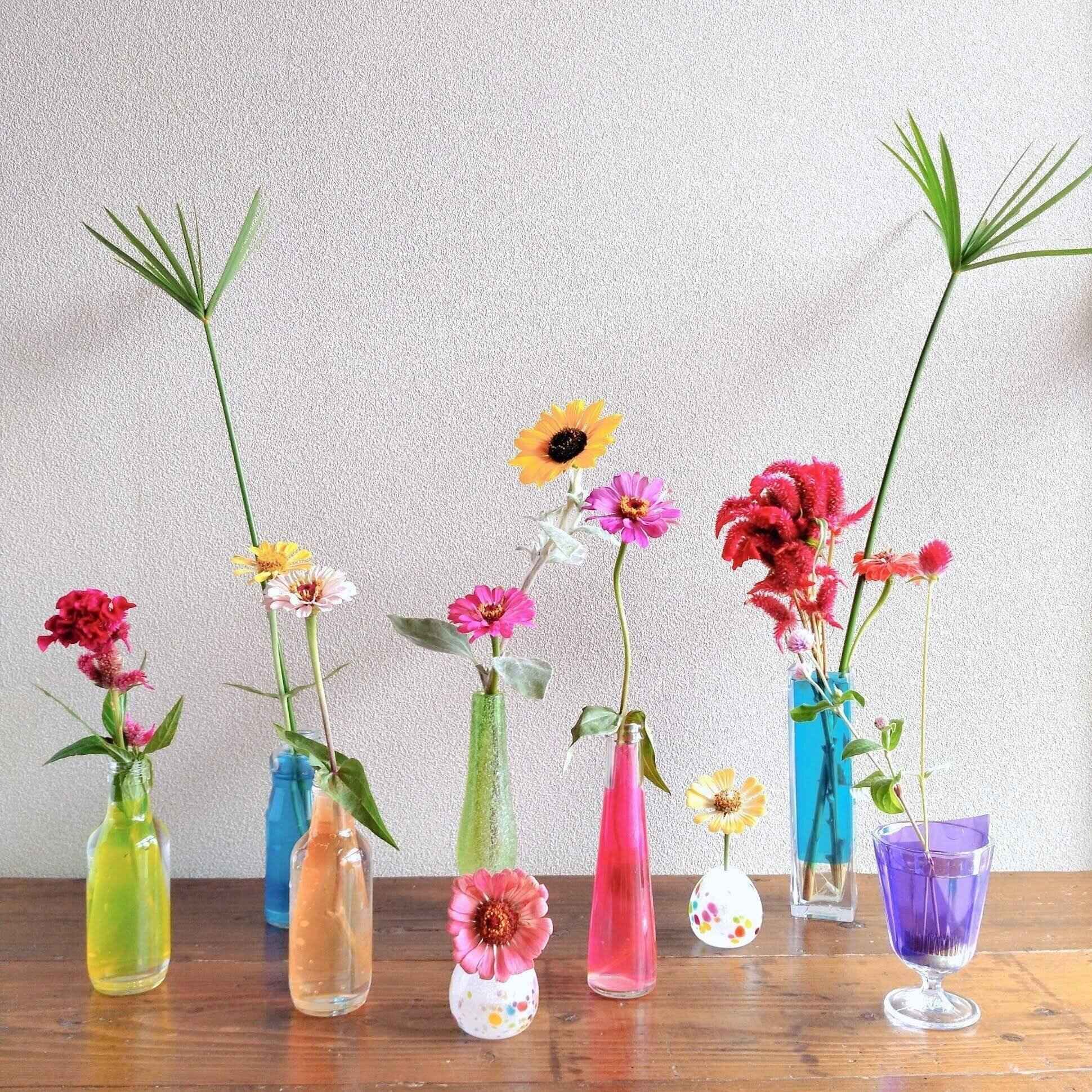 節約中でも飾りたい！長持ちする花3選とお手入れ方法