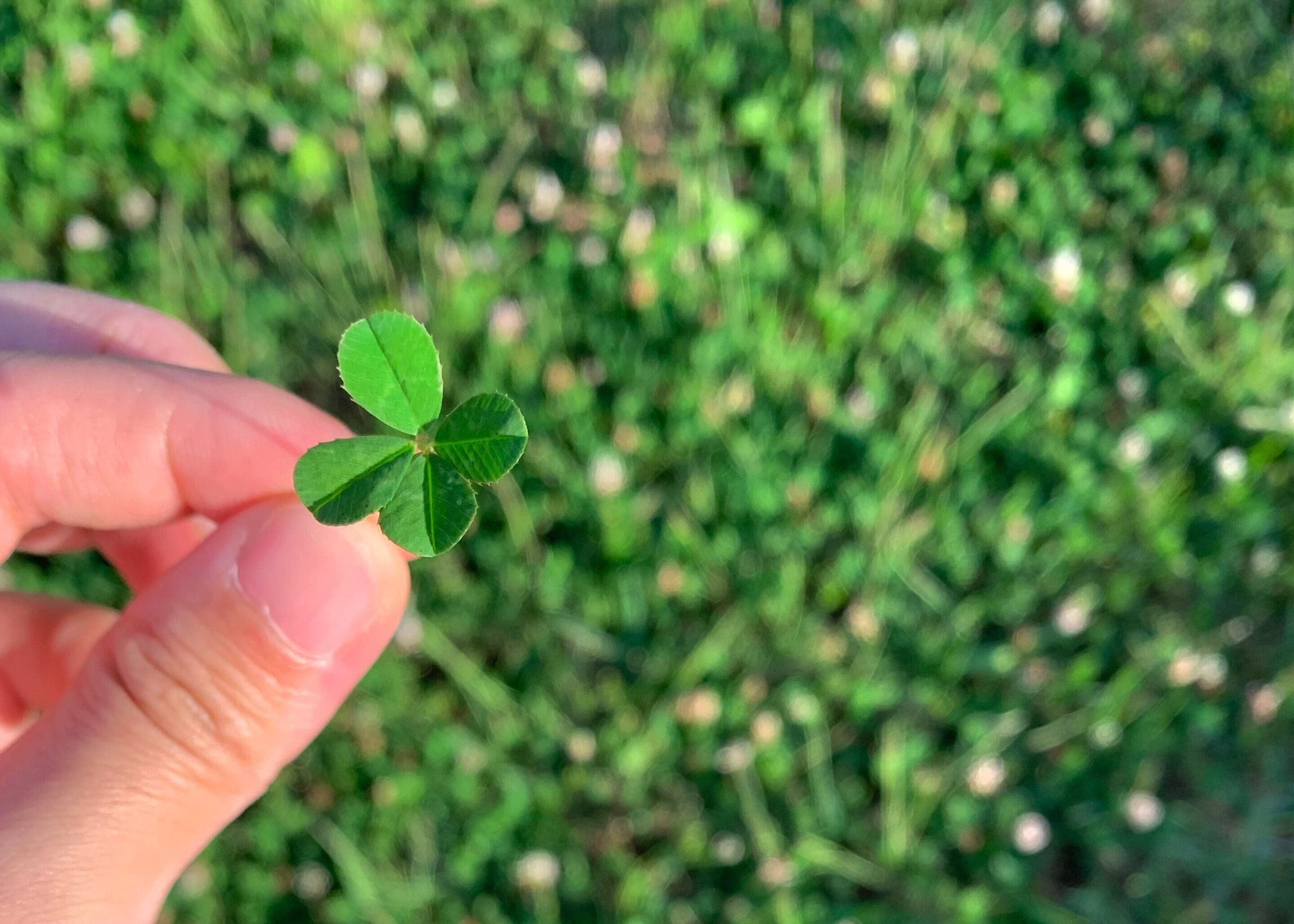 【自己紹介】夫婦で協力して総資産3000万円突破！節約×投資主婦おこめです