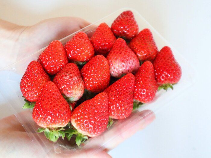 覚えておきたい！旬の「いちご」の上手な保存方法