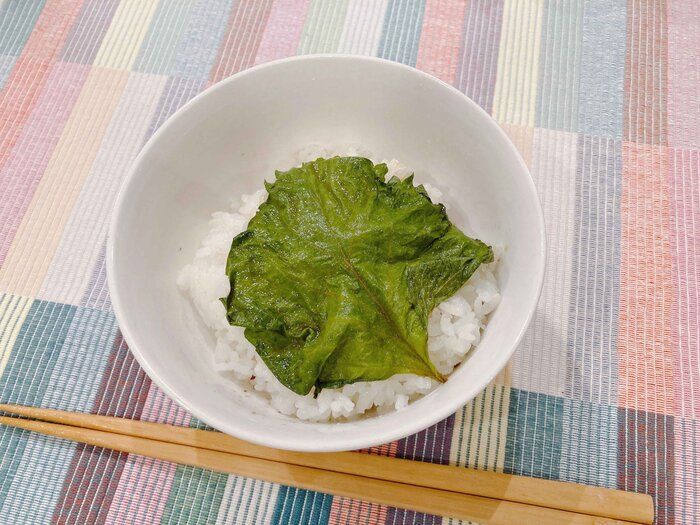 青しその保存、大量消費に！ やみつきご飯のお供「青しそのしょうゆ漬け」
