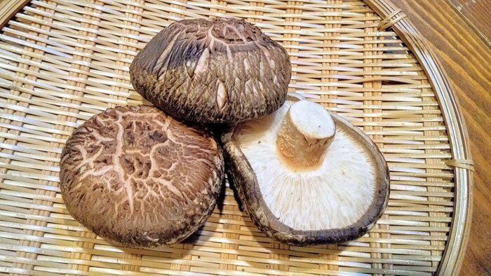 しいたけはどこまで食べる？フードロス対策にもなる、正しい食べ方とは？