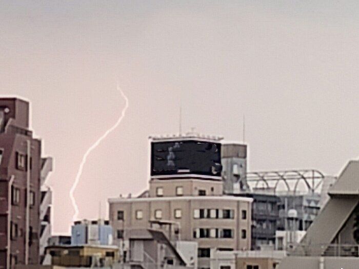 【予報士解説】身を守るために知っておきたい！雷にまつわるウソ・ホント