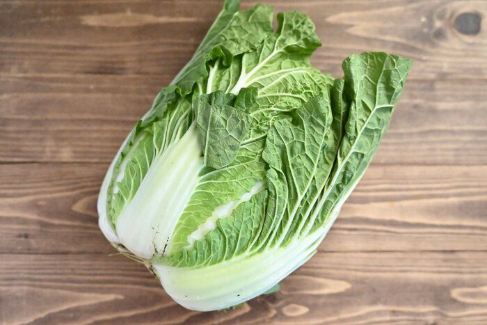 【旬食材】常温？冷蔵？白菜の正しい保存方法＆簡単に作れる副菜レシピ2選