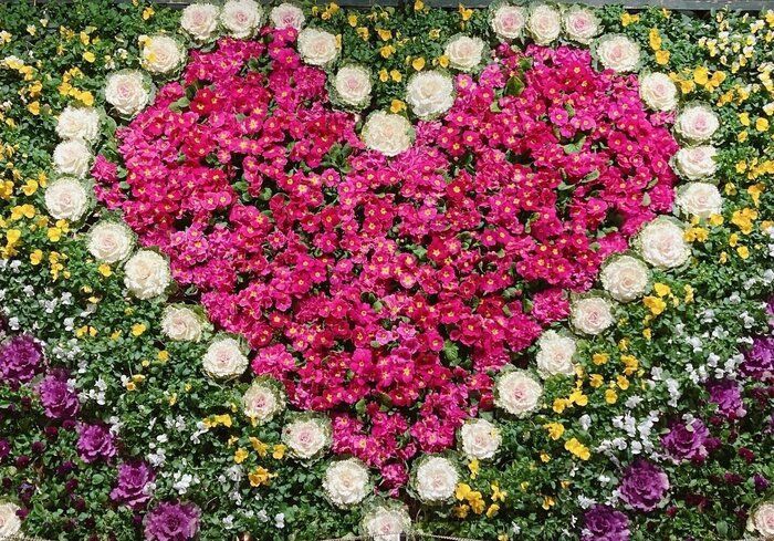 〈愉しくオバさんを生きていく。〉“家族のため”の発想をやめたら、不平不満が消えた